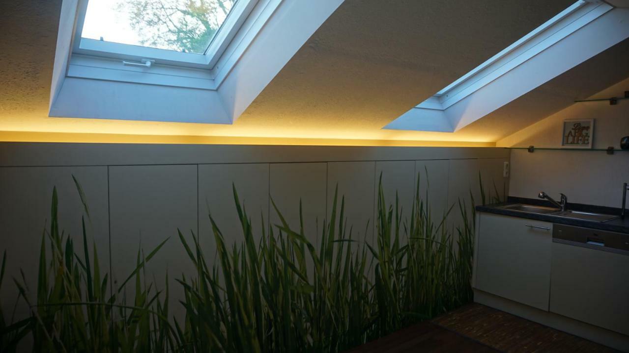 גמונדן Ferienwohnung Schicker מראה חיצוני תמונה
